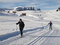 Image result for Lakeland Cross Country Ski Club