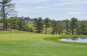 Image result for Plymouth Swallows Gc