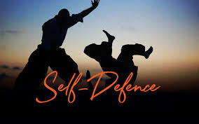 Image result for Combined self defence arts