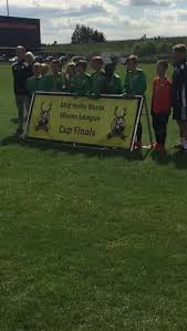 Image result for Welwyn Garden City Panshanger Football Club