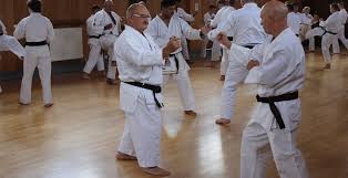 Image result for Thatcham Wado Karate Club