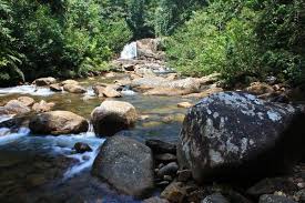 Image result for синхараджа