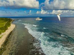 Attēlu rezultāti vaicājumam “Aranei exuvia”