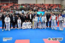 Image result for I T F Taekwondo (Andover)