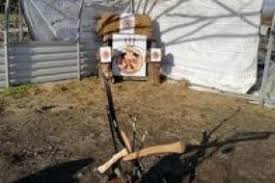 Image result for Chichester Bowmen