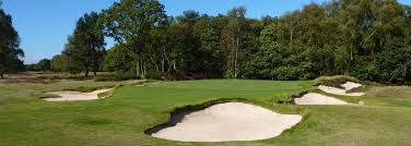 Image result for Alwoodley Golf Club