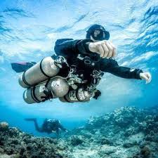 Image result for Plymouth Aquanauts