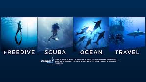 Image result for DeeperBlue.net Tribe (South London)