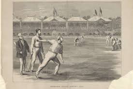 Image result for The Paddock Cricket Club