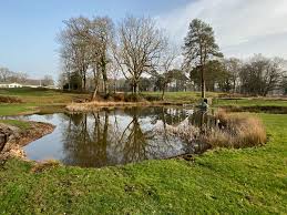 Image result for Brokenhurst Manor Golf Club