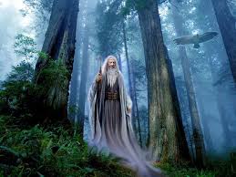 Image result for druid