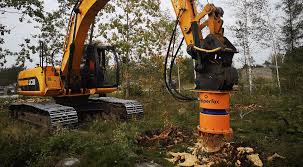 Image result for dipperfox tehron