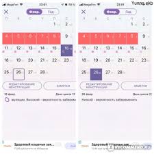 Картинки по запросу WoCa (Женский календарь)