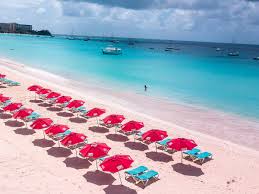 Image result for Harbour Lights Snorkelling Club (HLSC)