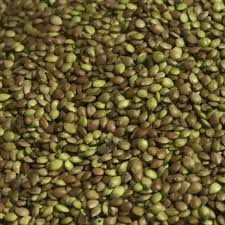 Attēlu rezultāti vaicājumam “Urtica dioica fruit”