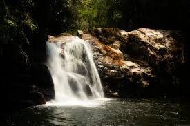 Image result for синхараджа