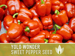 Afbeeldingsresultaat voor yolo wonder sweet pepper