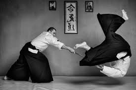 Image result for Iwama Shin Shin Aiki Shuren Kai