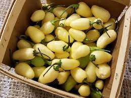 Afbeeldingsresultaat voor white habanero hot pepper
