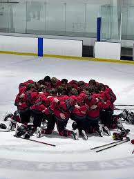 Image result for Arbroath Hurricanes Skater Hockey Club