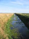 near to Maltby le Marsh, Lincolnshire, Great Britain. West Bank - via Daymix