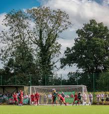 Image result for Redhill Juniors FC