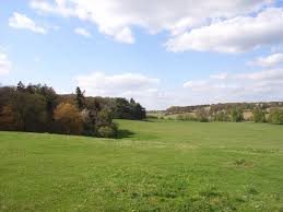 Image result for Gerrards Cross Cc