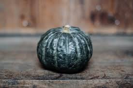 Image result for Kürbis