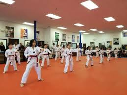 Image result for Kidderminster Tae Kwon Do Tigers