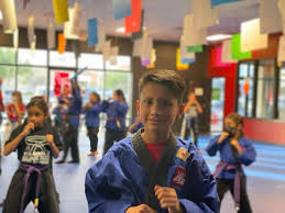 Image result for America's Best Karate