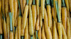 Attēlu rezultāti vaicājumam “Daucus carota subsp. carota fruit”