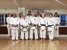 Image result for Ryusui-ryu Martial Arts School East Grinstead