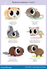 Attēlu rezultāti vaicājumam “Rodentia”