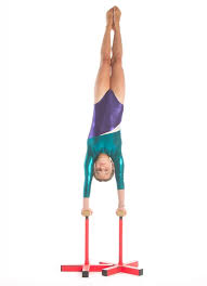 Image result for Arabian School Of Gymnastics