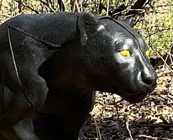 Image result for Panther Bowhunters Field Archery Club