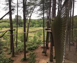 Image result for The Go Ape Experience (Delamere Forest)