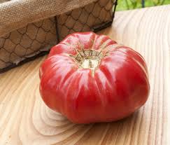 Afbeeldingsresultaat voor brandywine sudduth tomato