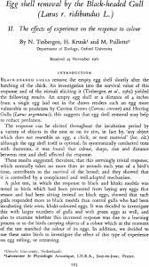 Attēlu rezultāti vaicājumam “Larus ridibundus eggs”