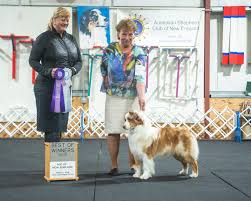 Image result for Halifax Asc