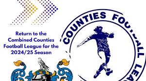 Image result for Staines Albion Fc