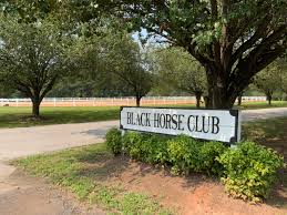 Image result for Black Horse Ballooning Club