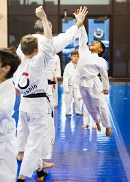 Image result for Mushin Kempo Jiu Jitsu Club