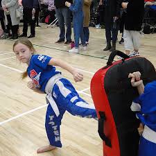 Image result for Bushido Academy Of Martial Arts (Bama)