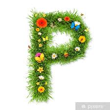 Znalezione obrazy dla zapytania p