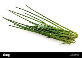 Image result for Schnittlauch