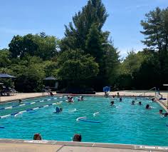 Image result for Romsey and Totton Swimming Club