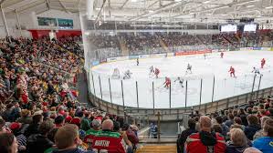 Image result for Cardiff Devils