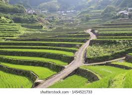 Image result for tanada