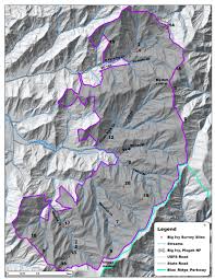 Attēlu rezultāti vaicājumam “Paraleucobryum longifolium sporophyte”