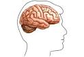 Korsakoff's Syndrome - EmpowHER.